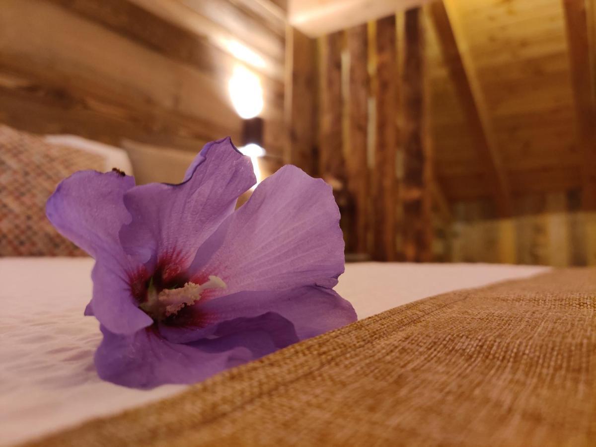 Apartament Au Fond Du Bourg Aosta Zewnętrze zdjęcie